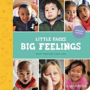 Little Faces Big Feelings de Amy Morrison