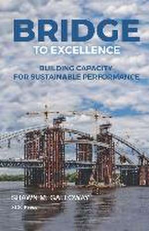 Bridge to Excellence: Building Capacity for Sustainable Performance de Shawn M. Galloway