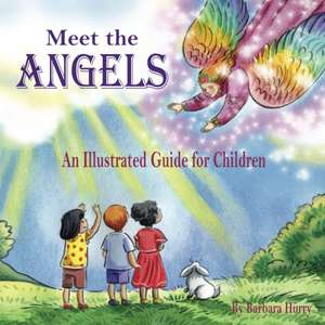 Meet the Angels: An Illustrated Guide for Children de Barbara Hurry