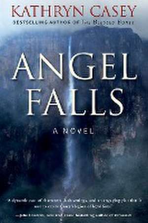 Angel Falls de Kathryn Casey