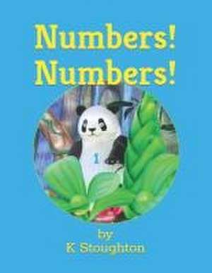 Numbers! Numbers! de K. Stoughton M Ed