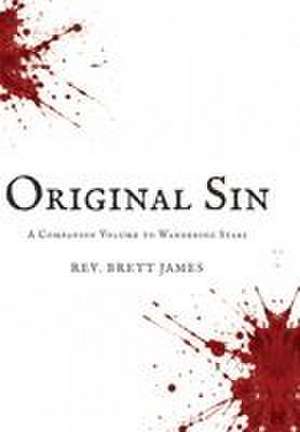 Original Sin de Brett James