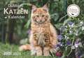 DUMONT - DUMONTS Katzenkalender 2025 Broschürenkalender, 42x29cm, Wandkalender mit kurzweiligen Katzengeschichten von Jette Jorjan, mit Schulferienterminen und Jahresübersicht