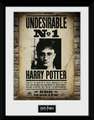 HARRY POTTER - Framed print "Undesirable No 1" x2