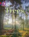 BIG CAT PHONICS TREES