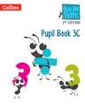 Busy Ant Maths -- Pupil Book 3c