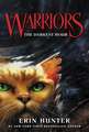 The Darkest Hour: Warriors vol 6