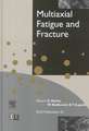 Multiaxial Fatigue and Fracture