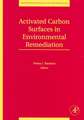 Activated Carbon Surfaces in Environmental Remediation