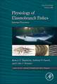 Physiology of Elasmobranch Fishes: Internal Processes