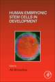 Human Embryonic Stem Cells in Development