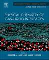 Physical Chemistry of Gas-Liquid Interfaces