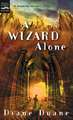 A Wizard Alone: The Sixth Book in the Young Wizards Series