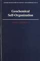 Geochemical Self-Organization