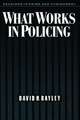 What Works in Policing