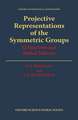 Projective Representations of the Symmetric Groups: Q-Functions and Shifted Tableaux