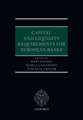 Capital and Liquidity Requirements for European Banks