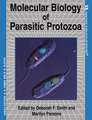 Molecular Biology of Parasitic Protozoa