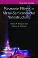 Plasmonic Effects in Metal-Semiconductor Nanostructures