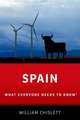 Spain: What Everyone Needs to Know®