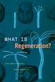 What Is Regeneration?