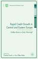 Rapid Credit Growth in Central and Eastern Europe: Endless Boom or Early Warning?