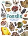 My Book of Fossils: A fact-filled guide to prehistoric life