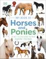 My Book of Horses and Ponies: A Fact-Filled Guide to Your Equine Friends