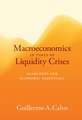 Macroeconomics in Times of Liquidity Crises – Searching for Economic Essentials