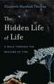 The Hidden Life of Life – A Walk through the Reaches of Time