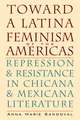 Toward a Latina Feminism of the Americas: Repression and Resistance in Chicana and Mexicana Literature