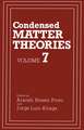 Condensed Matter Theories: Volume 7