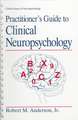 Practitioner’s Guide to Clinical Neuropsychology