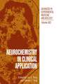 Neurochemistry in Clinical Application: Nerve Muscle Function-Bioelectrochemistry, Mechanisms, Bioenergetics and Control