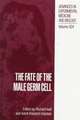 The Fate of the Male Germ Cell: Evolving Biological Concepts and Therapeutic Approaches