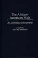 The African-American Male: An Annotated Bibliography