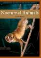 Nocturnal Animals