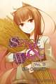 Spice and Wolf Volume 13