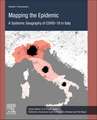 Mapping the Epidemic: A Systemic Geography of COVID-19 in Italy