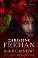 Dark Carnival: A Carpathian Novel