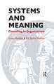 Systems and Meaning: Consulting in Organizations