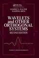 Wavelets and Other Orthogonal Systems