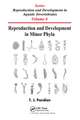 Reproduction and Development in Minor Phyla