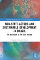 Non-State Actors and Sustainable Development in Brazil: The Diffusion of the 2030 Agenda