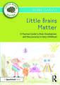 Little Brains Matter: A Practical Guide to Brain Development and Neuroscience in Early Childhood