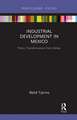 Industrial Development in Mexico: Policy Transformation from Below