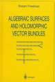 Algebraic Surfaces and Holomorphic Vector Bundles