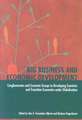 Big Business and Economic Development: Conglomerates and Economic Groups in Developing Countries and Transition Economies under Globalisation