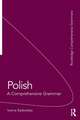 Polish: A Comprehensive Grammar