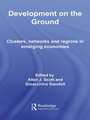 Development on the Ground: Clusters, Networks and Regions in Emerging Economies